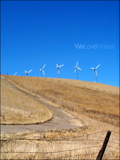 we love fridays (front)