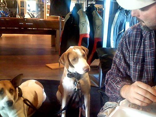 photo.jpg