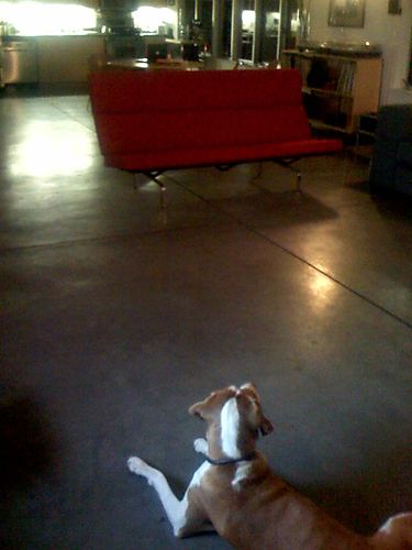 photo.jpg