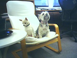 image_854.jpg