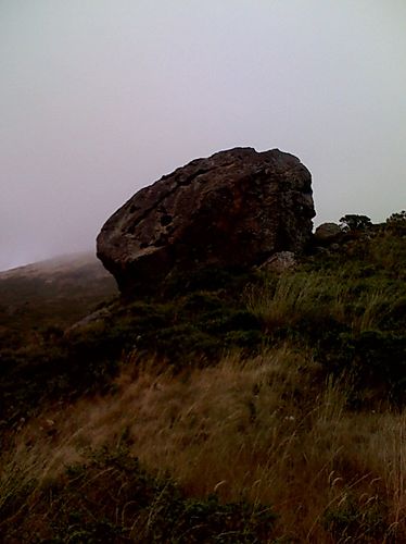 photo.jpg