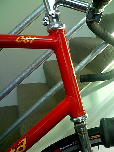 Serotta Repair