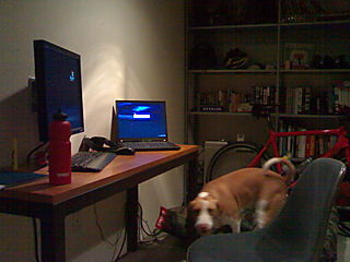 Office, Pista and Red