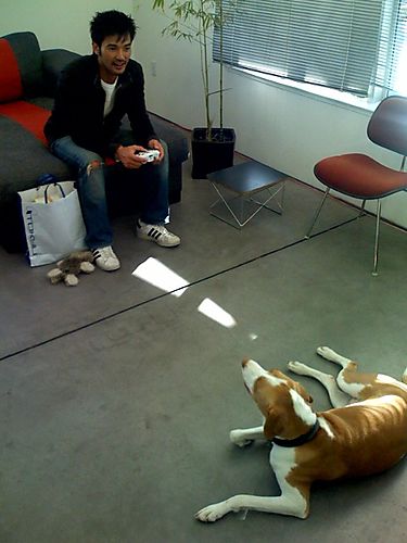 photo.jpg