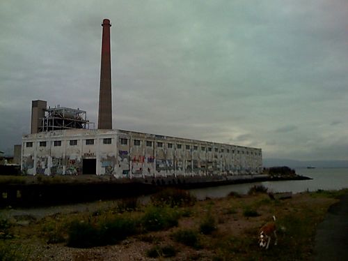 Coal Fired