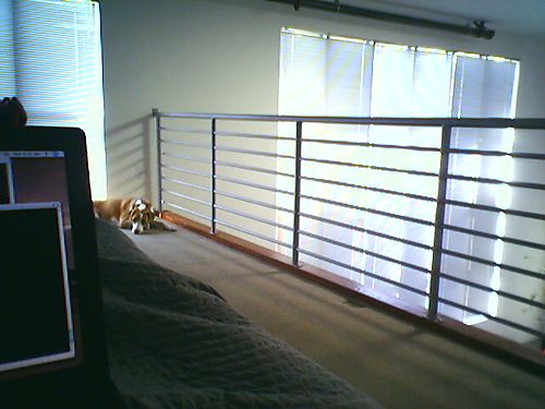 Pista Lounging