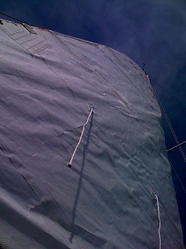 photo.jpg