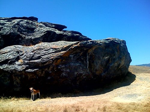 Pista and the Boulder