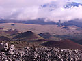 Lofty View
