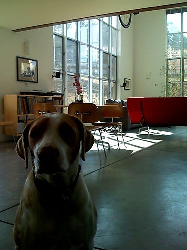 photo.jpg