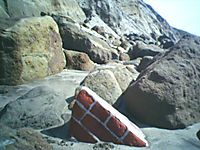 the persistence of masonry