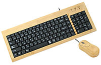Bamboo Input