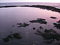 tidal pool at sunset (3)