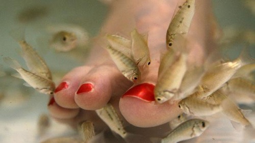 Pedicure