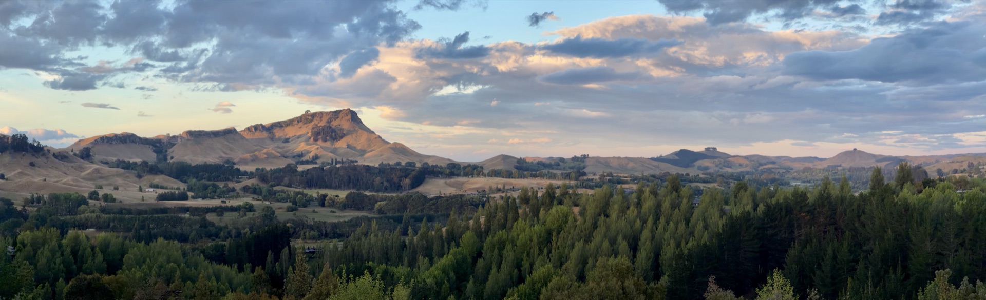 Te Mata Peak at dusk above a valley of pines, New Zealand
