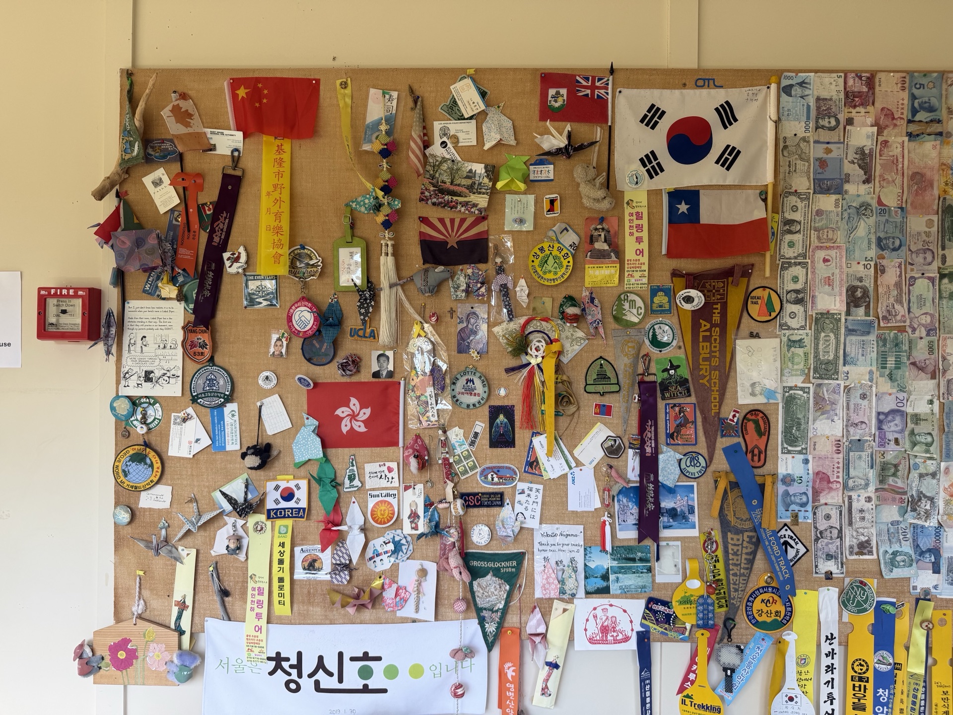 A wall of flags, pennants, banknotes, and badges left by hikers on the Milford Track
