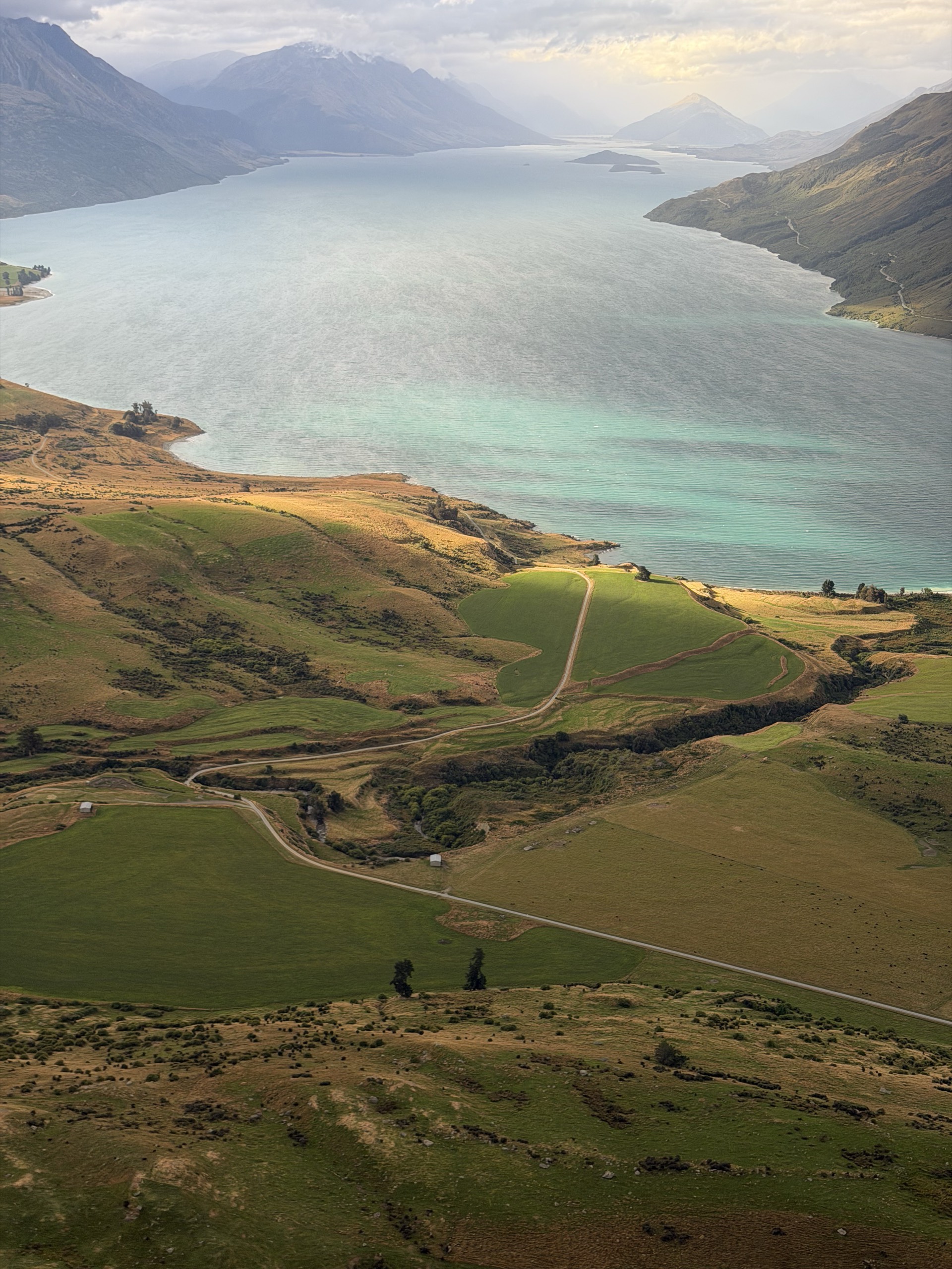 Aerial view of Lake Wakatipu and green farmland along its shore