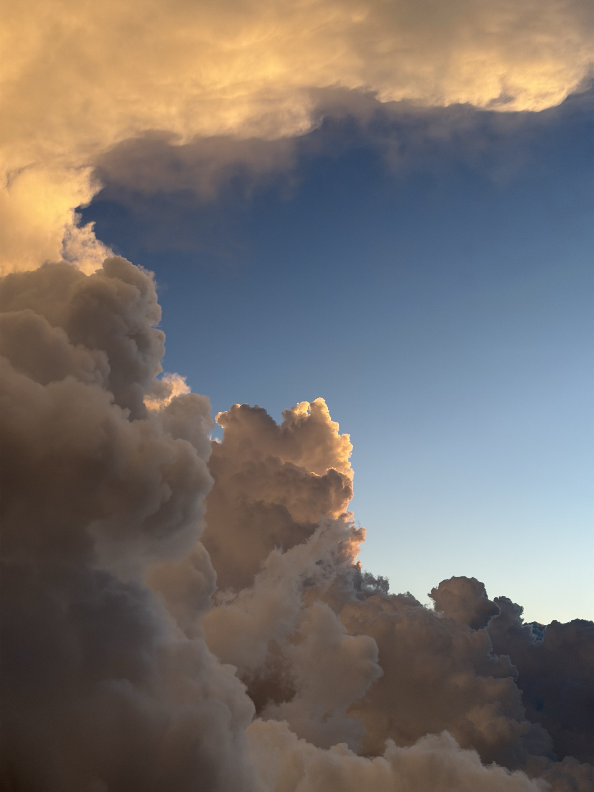Cumulus clouds lit gold at sunset